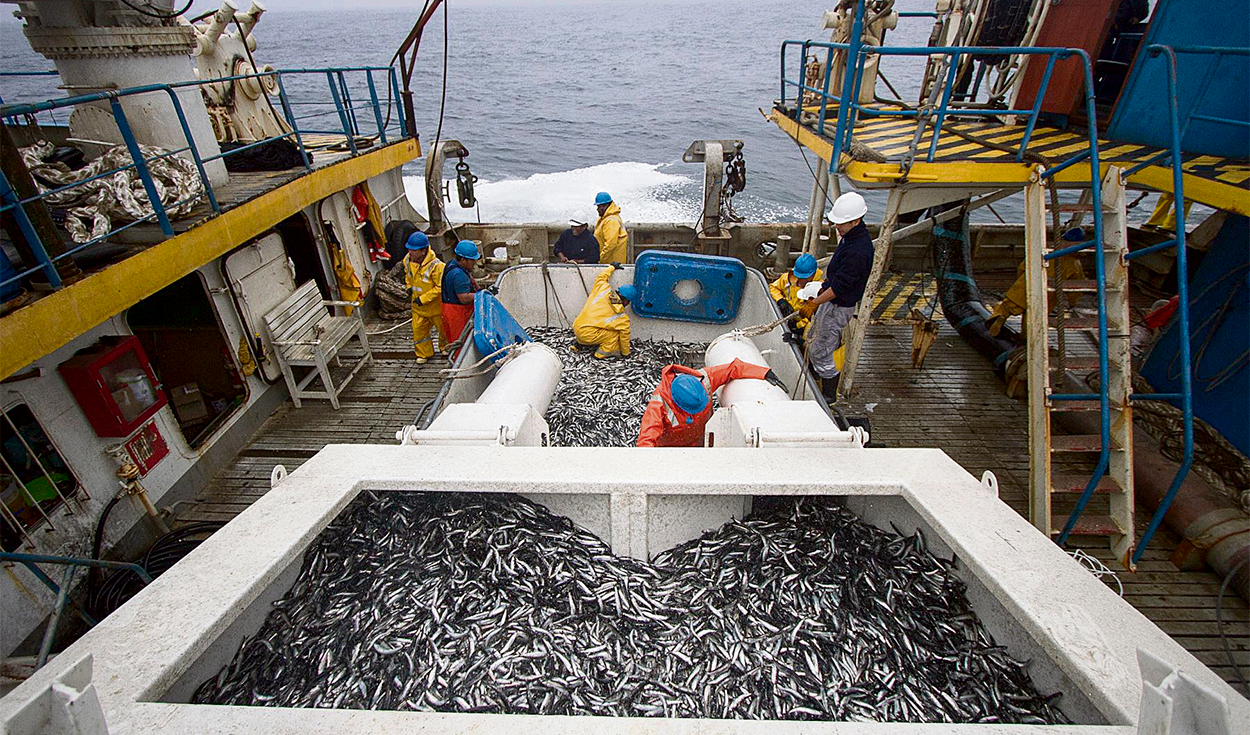 After 6 months in the red, GDP rebounds to 0.29% in November for the second anchovy season