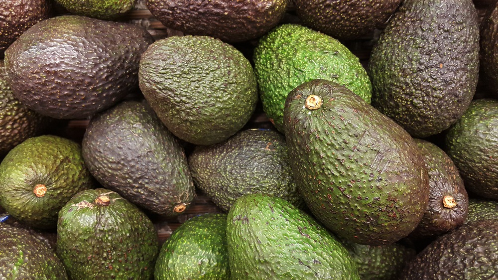 The Hass avocado from Peru will be able to reach the Malaysian markets, Midagri announces