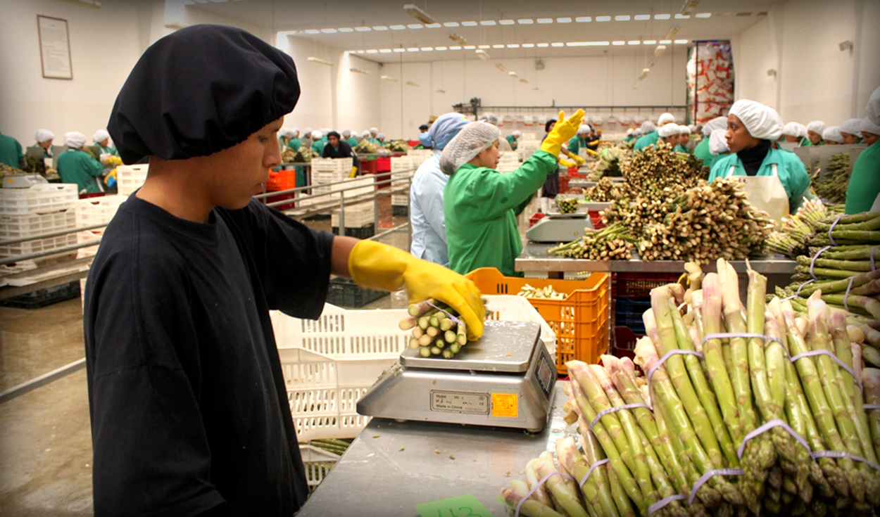 Number of exporting companies increased by 3% until November 2023