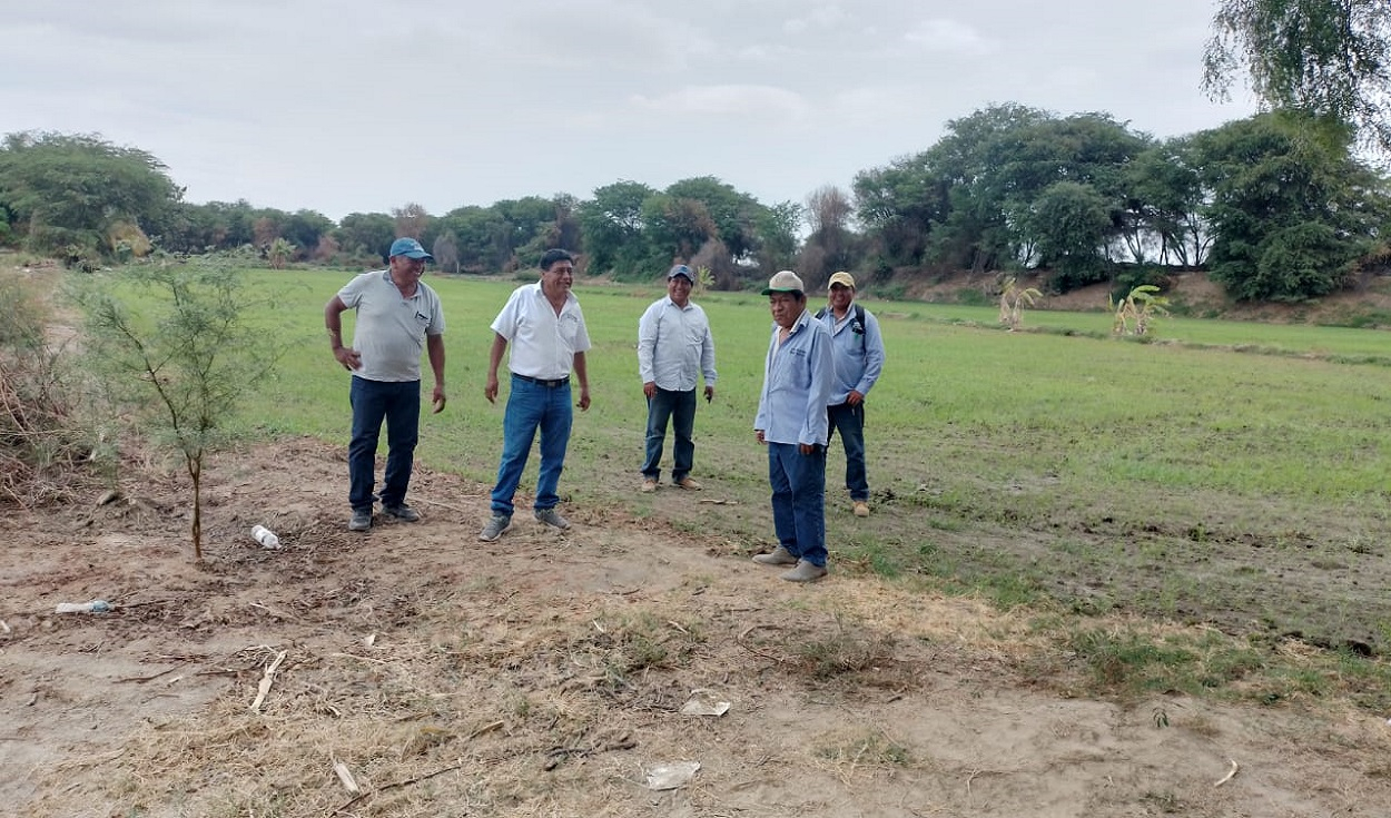 Agrobanco must disburse S/1,000 million for farmers in Piura: how many will they benefit?