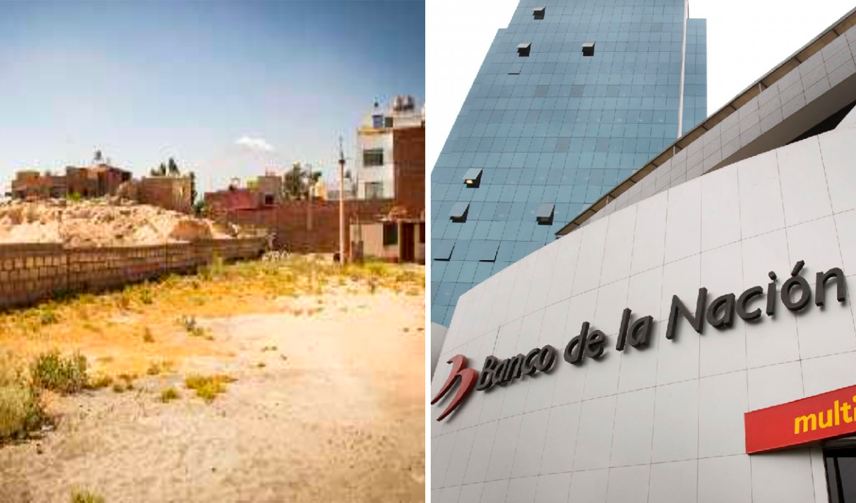 Banco de la Nación announces a credit plan for land in August 2024: who could access it?