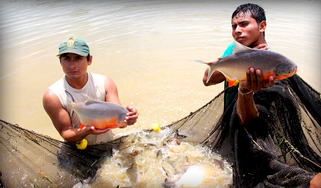 Fondepes plans to train more than 15,000 aquaculturists and artisanal fishermen in 2024
