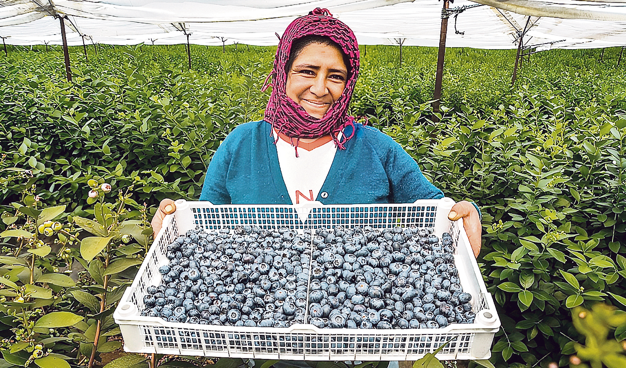 Exports broke record despite adversities