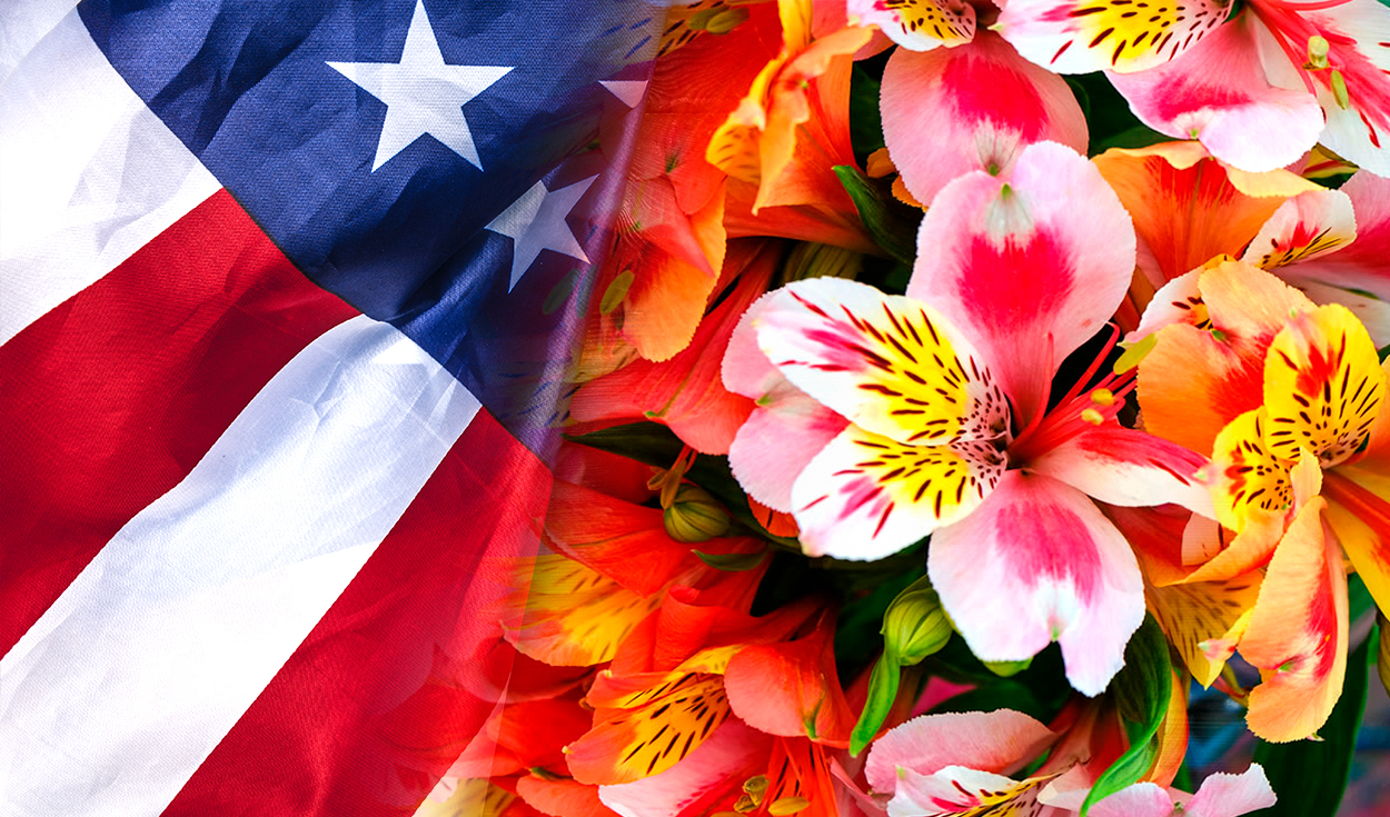 The United States is the main destination market for Peruvian flowers
