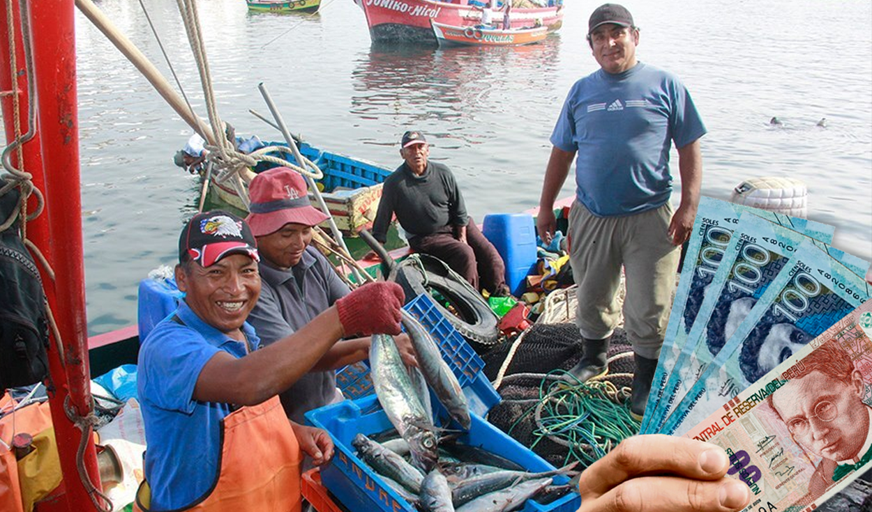 Attention artisanal fishermen!  Review the requirements to request credits of up to S/113,000