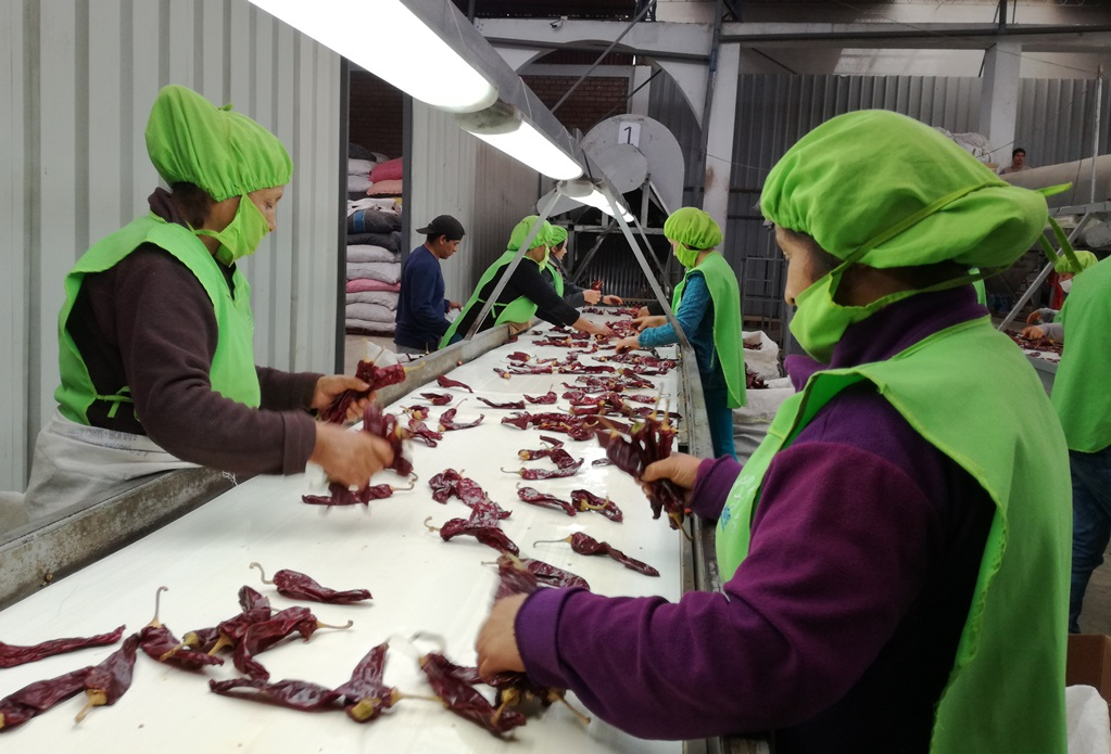 200,000 jobs were lost in the export sector during 2023