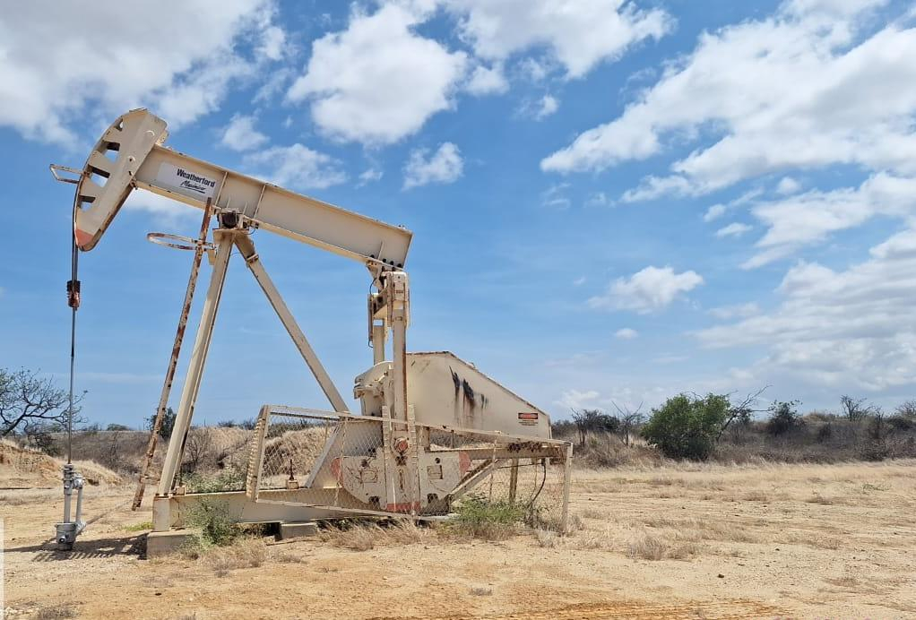 Lot X: good pro will be ready on April 8, Perupetro announces