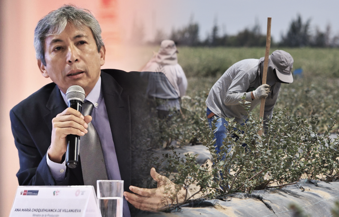 MEF rules out total “rescue” of the Chlimper Law, but advances agricultural labor reform