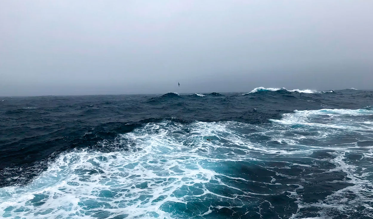  En el Pasaje Drake es posible la formación de olas de hasta 25 metros de altura. Foto: Tom Stieghorst