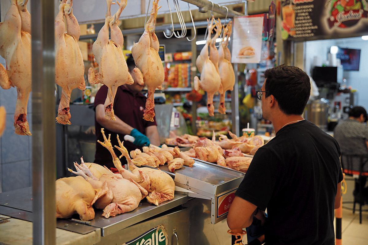 Chicken price begins April with a reduction of up to S/2.50 per kilo