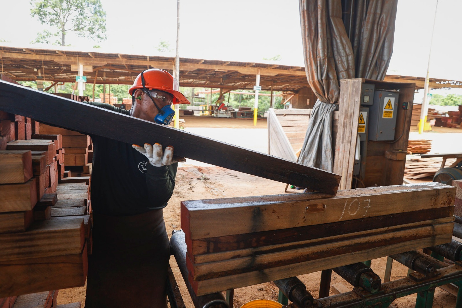 Production grows and business expectations for investment in the short term appear