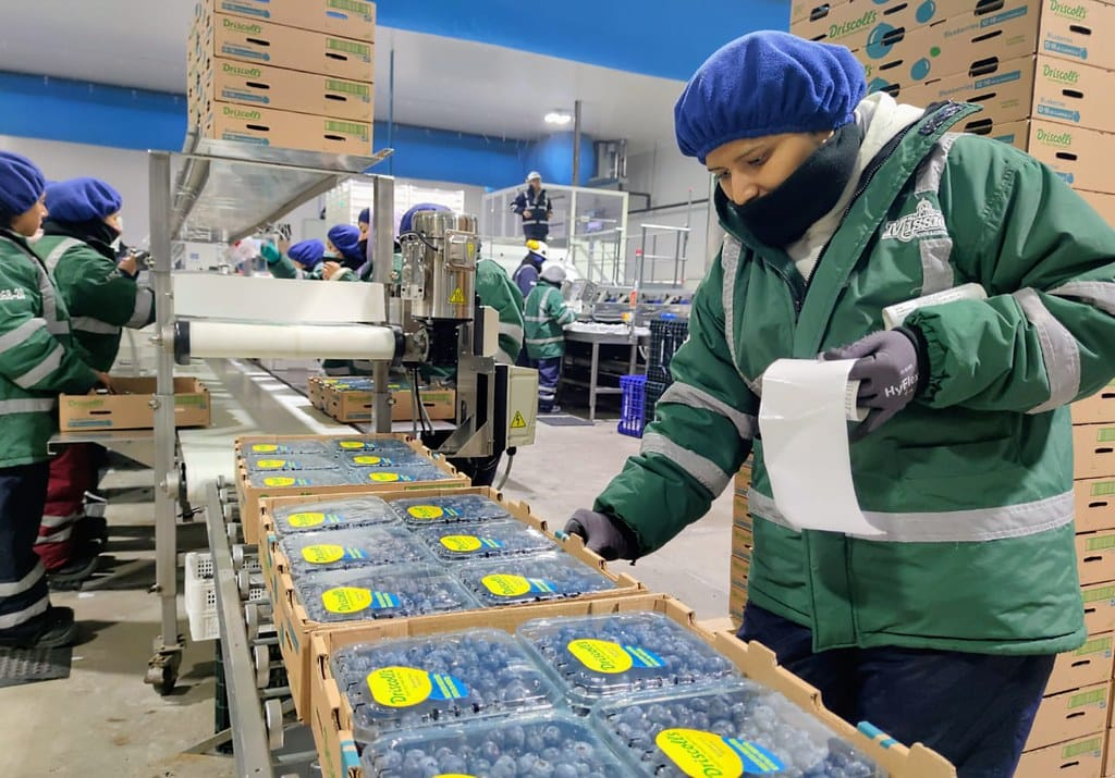 Agroexports totaled US$1,862 million in the first two months of 2024