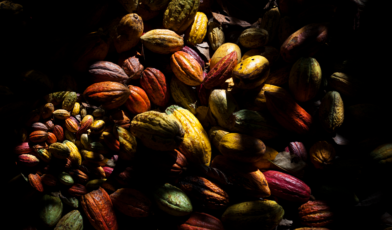 Descubre el pueblo de Chuao, la joya venezolana que produce 'el mejor cacao del mundo' | Chuso chocolate | Caracas | hacienda Chuao | Venezuela | ranking | Perú | Choroní