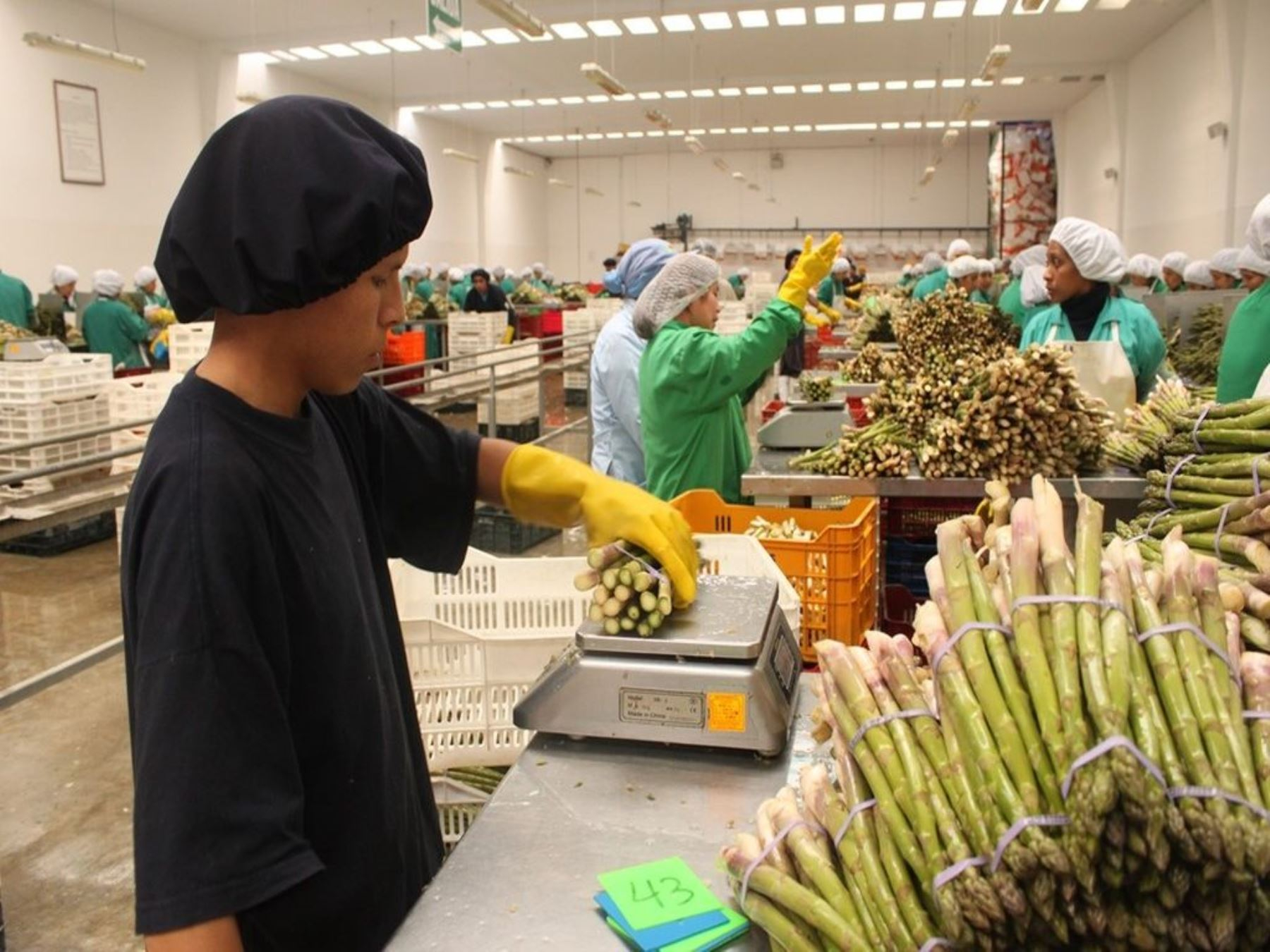 Peruvian agricultural exports would grow 3.2% in 2024, according to Adex