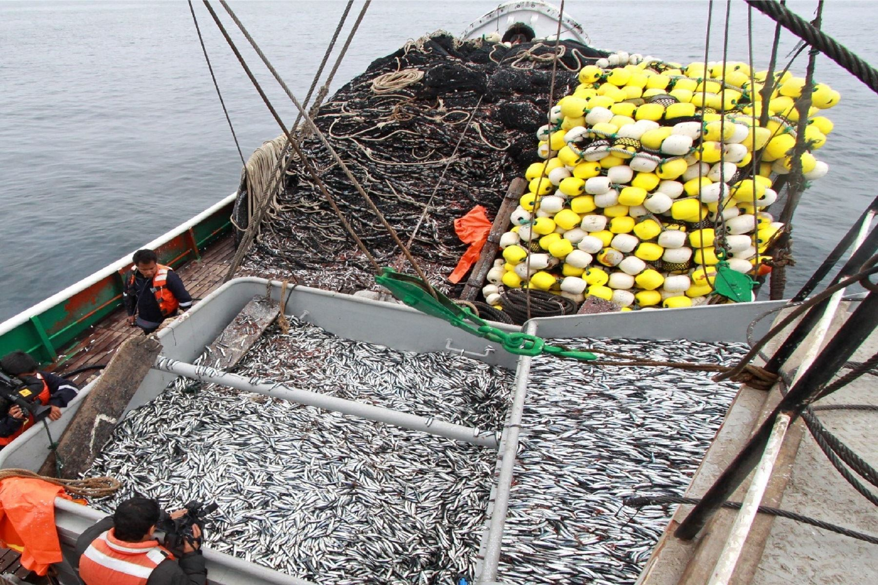 150,000 tons of anchovy were unloaded in the first three days of the season starting