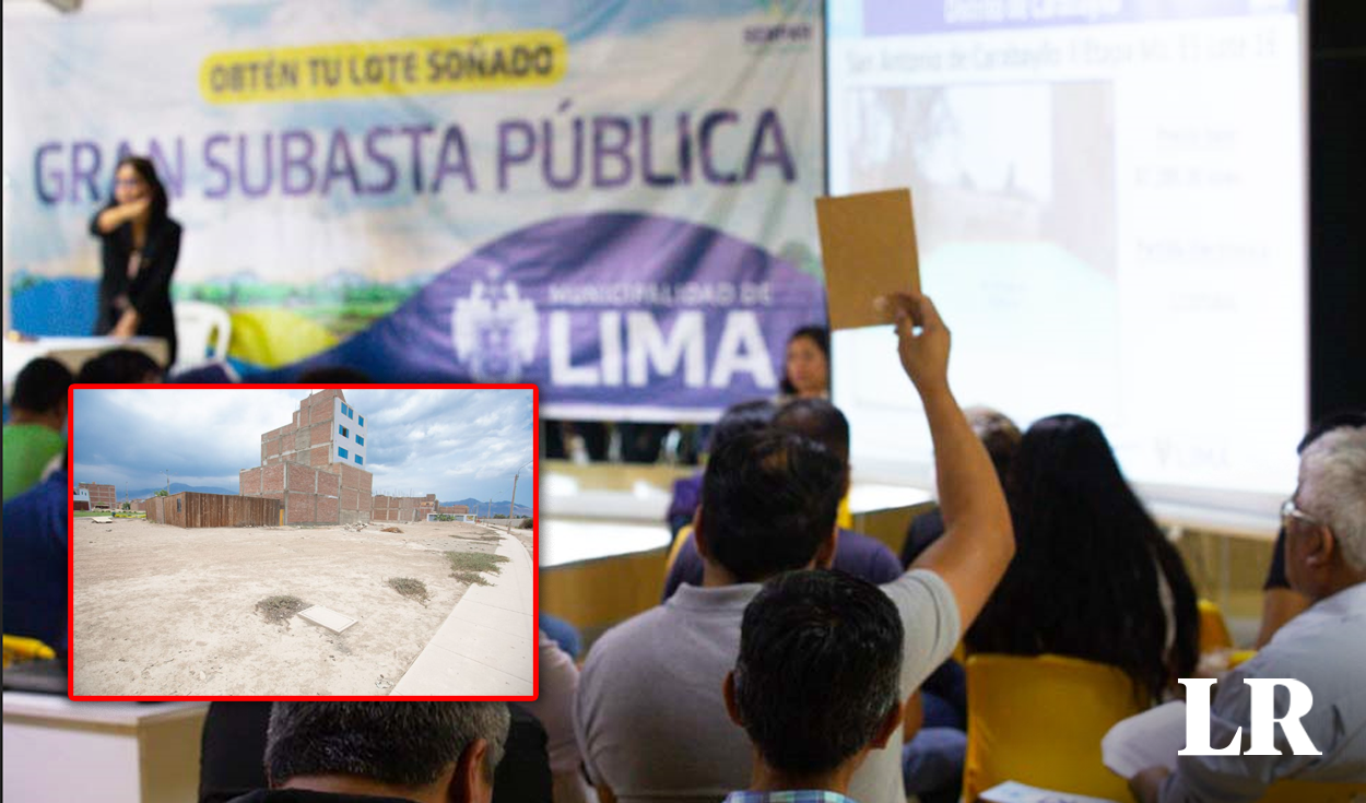 Serpar announces land auction in Carabayllo, Puente Piedra and more: when is it and how to participate?