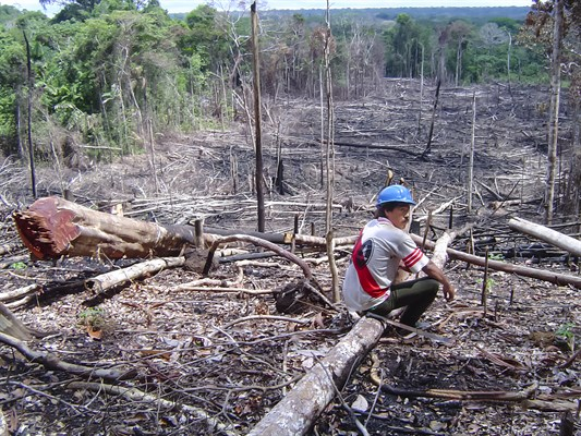 90% of economic activities in the Amazon are illegal