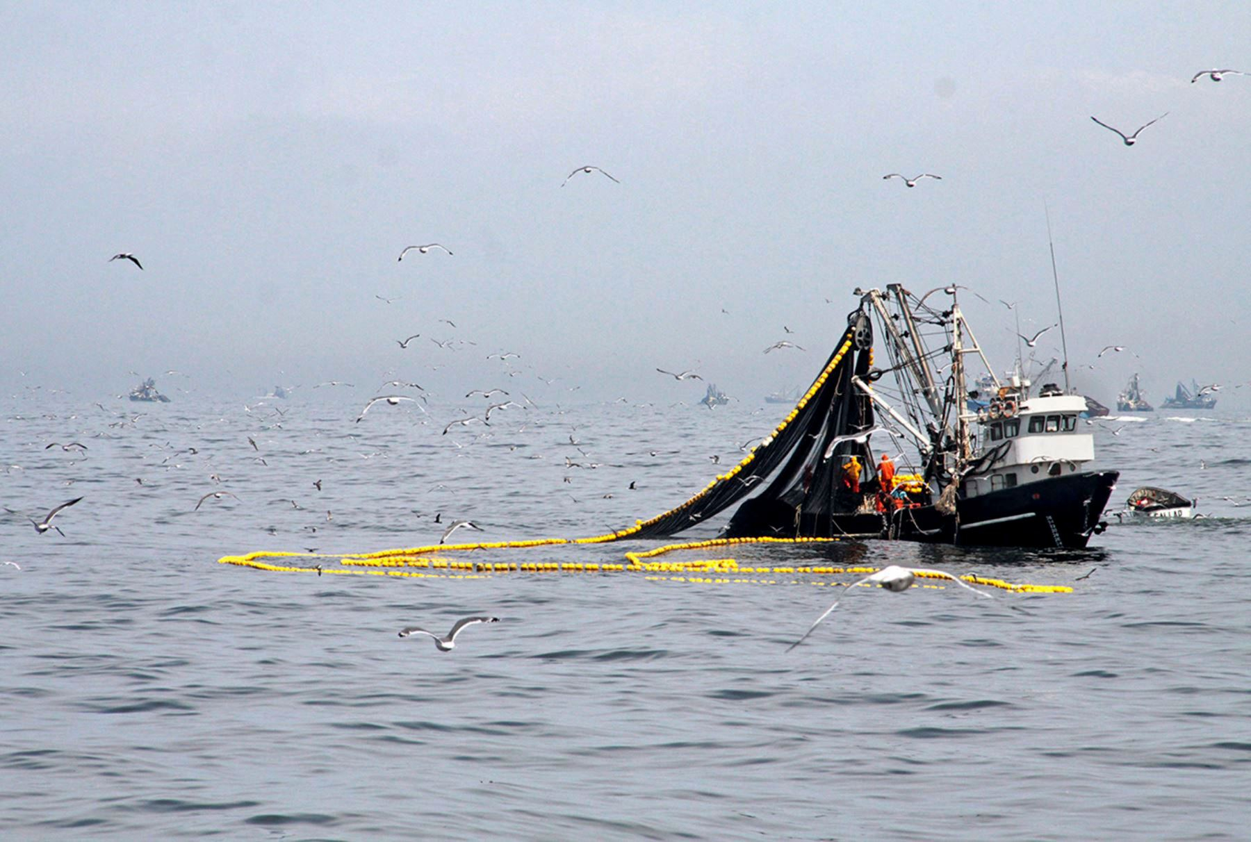 Fishing exports fell 43.56% in the first two months