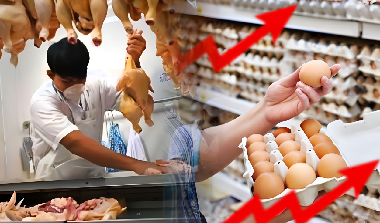 Why is the price of chicken falling while the price of eggs continues to rise?