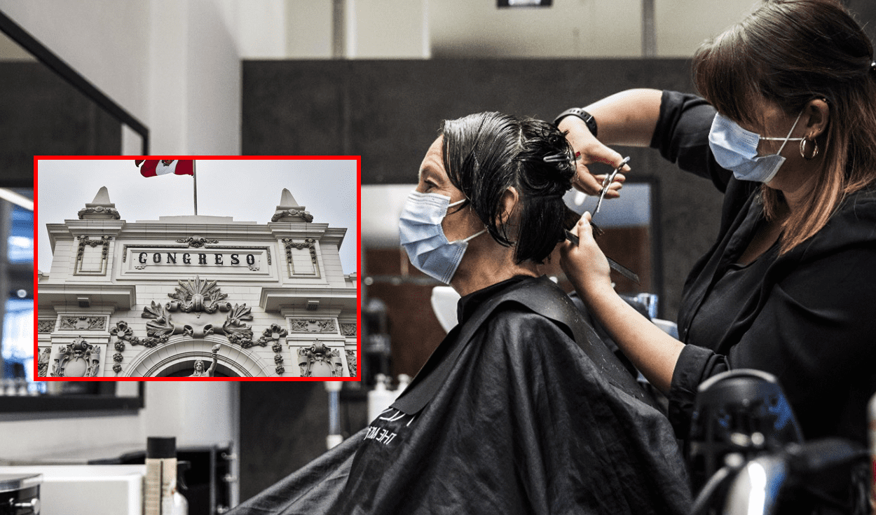 Congress is preparing a law to reduce VAT for hair salons, but it would not benefit small businesses