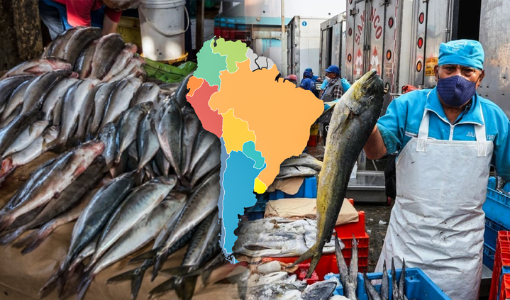 This is the country that consumes the most fish in Latin America: it surpasses Chile and Venezuela