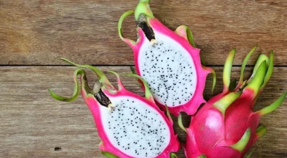 ADEX: Peruvian agricultural exports grew 8.7% in the first quarter of 2024