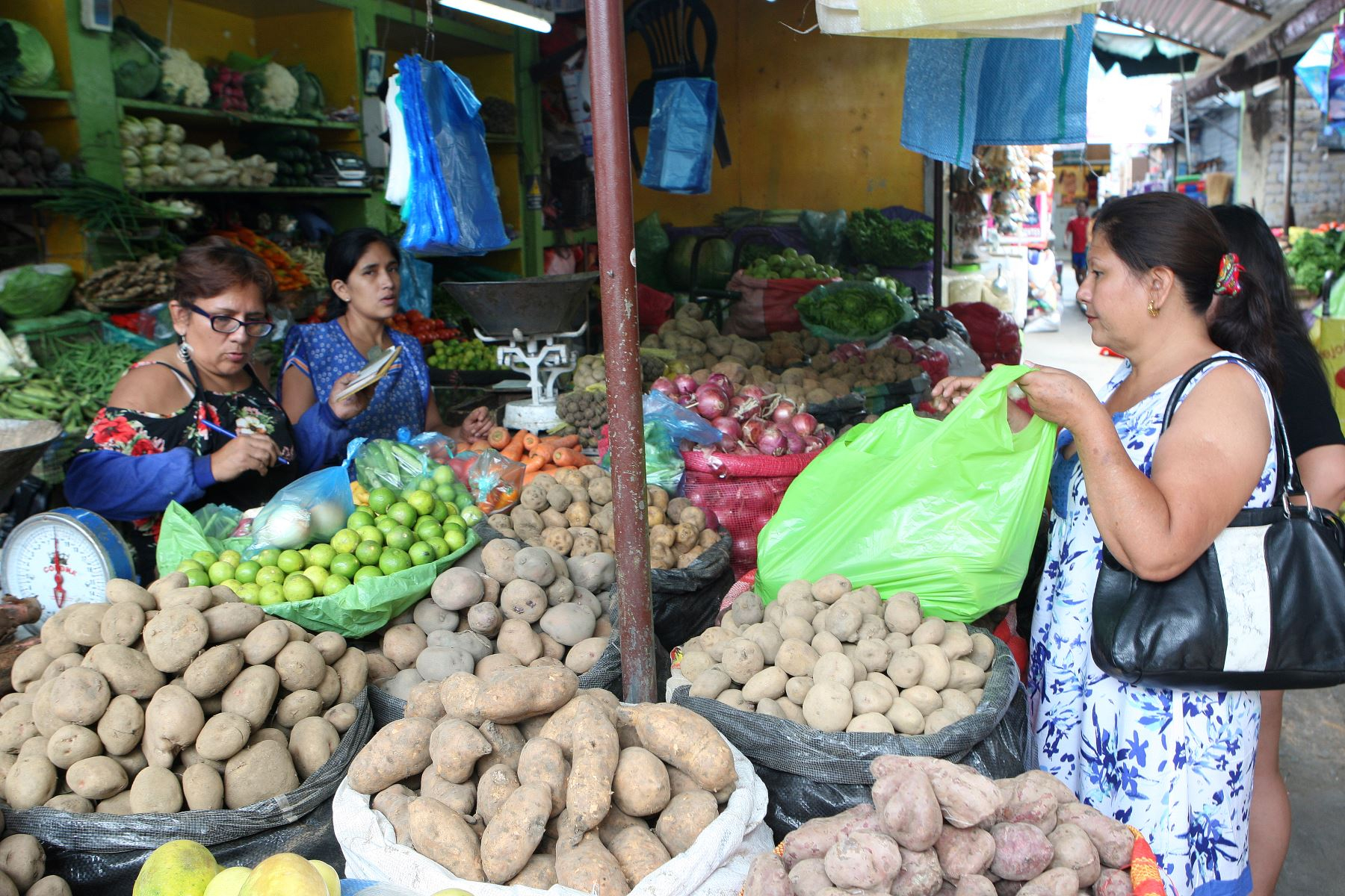 INEI: The number of households headed by women increases