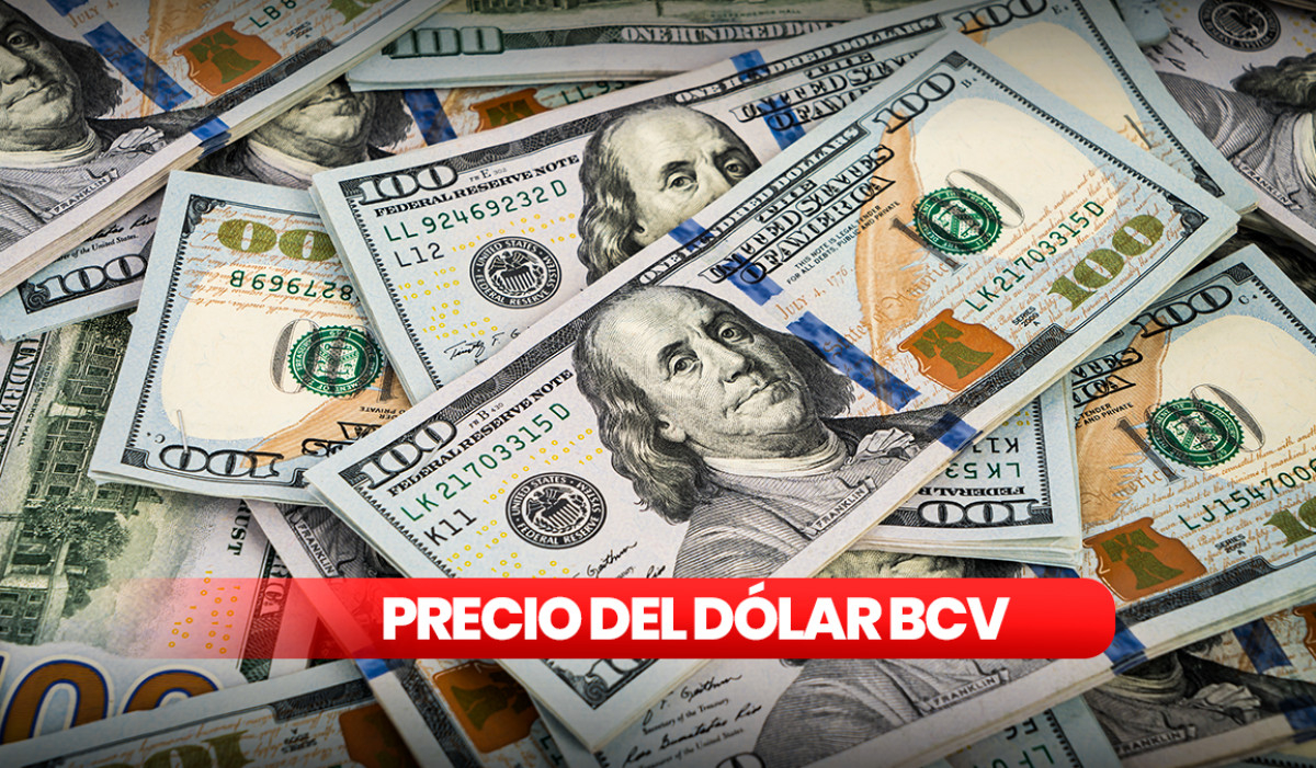 
                                 Precio del dólar en Venezuela BCV hoy, 16 de mayo: cambio oficial del Banco Central de Venezuela 
                            