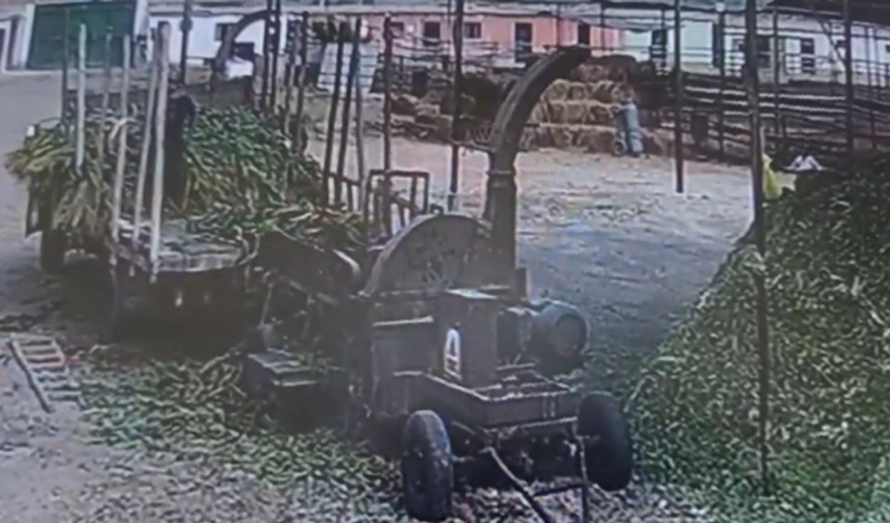 
                                 Trágica muerte en La Libertad: trabajador fallece tras caer a máquina trituradora de alimentos 
                            