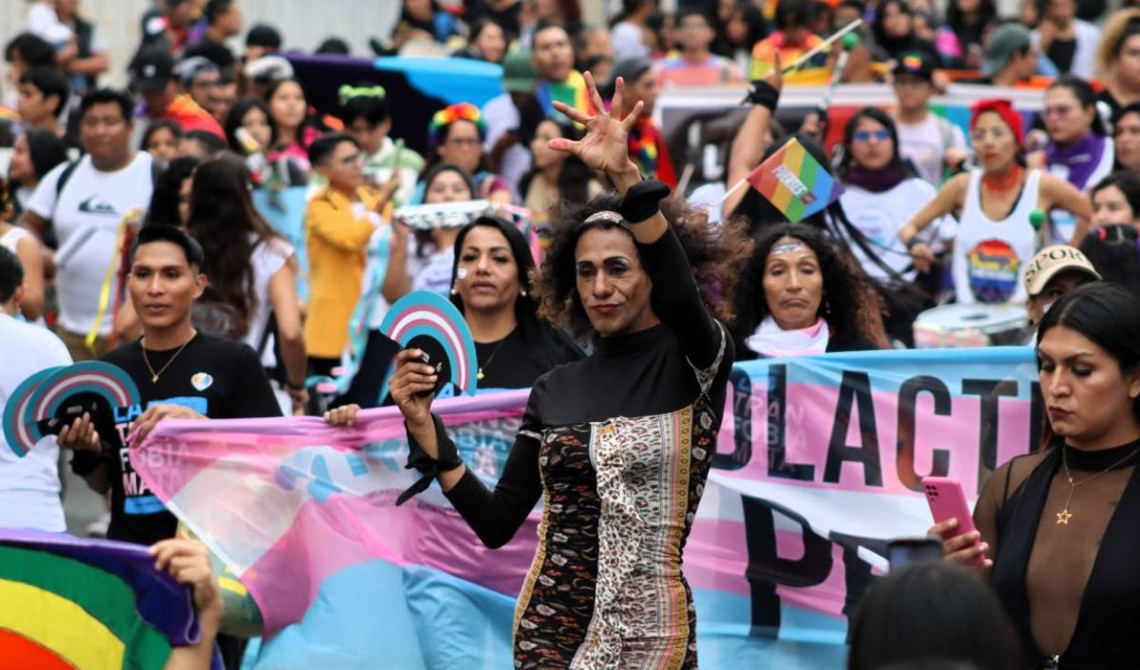 
                                 Perú retrocedería en derechos LGBTIQ+ con decreto del Minsa, afirman expertos 
                            