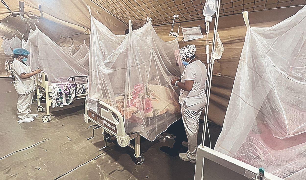
                                 Van 206 muertes por dengue y en Arequipa hallan caso autóctono 
                            