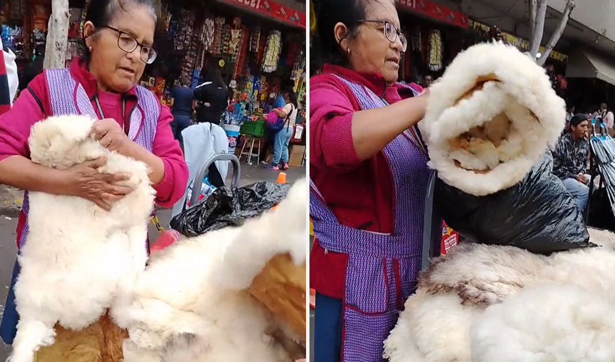 
                                 Peruana arrasa con ventas de piel de cordero en Lima y dicen: “Mejor que el colchón” 
                            