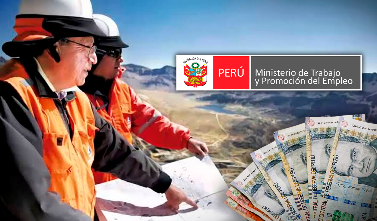 
                                 La carrera técnica de ingeniería mejor pagada en Lima, según MTPE: se gana hasta S/8.900 al mes 
                            
