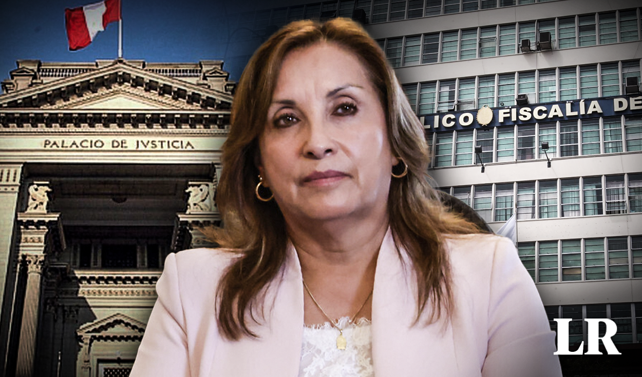 
                                 Dina Boluarte: ¿cuáles son los argumentos de la demanda competencial presentada por la presidenta? 
                            