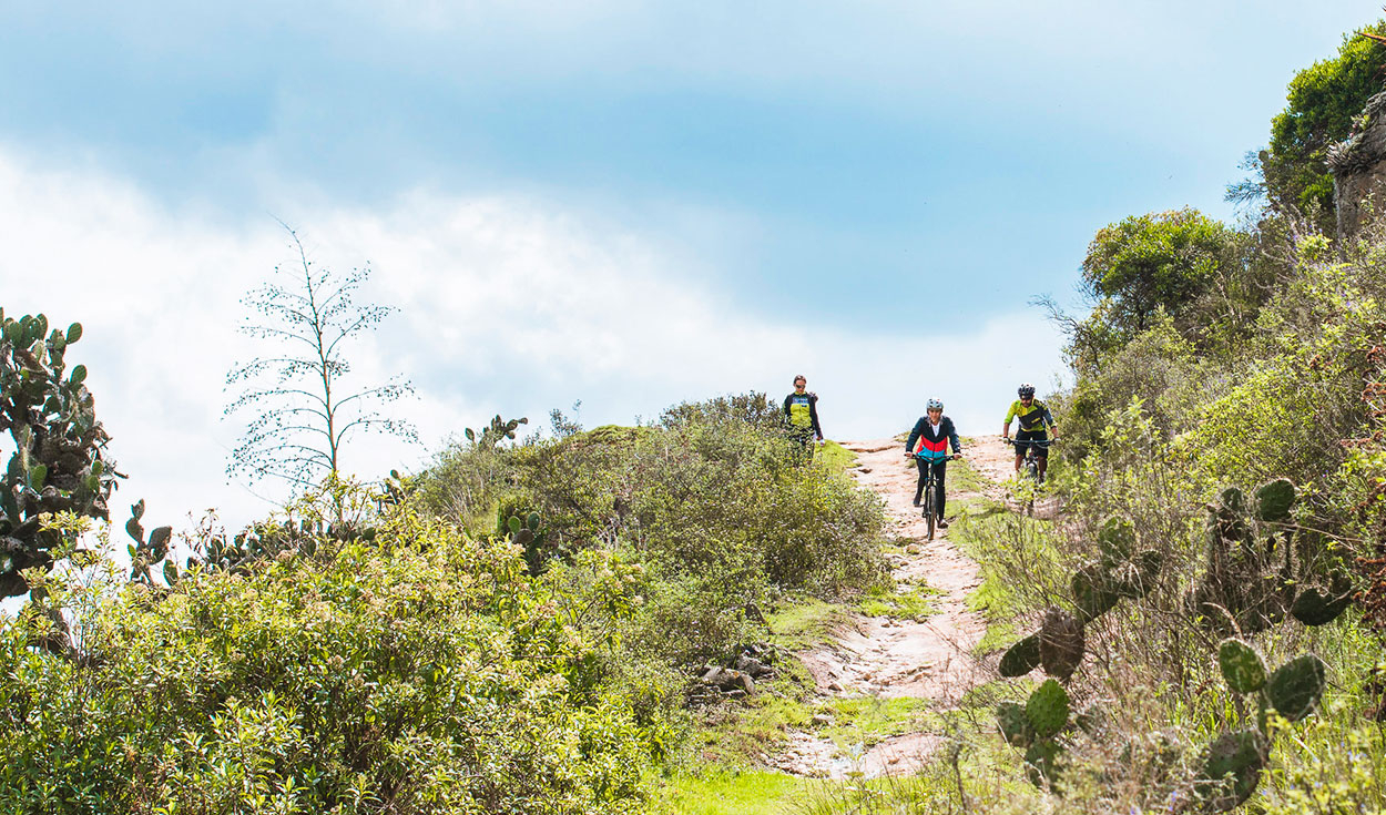 
                                 ¿Aficionado al ciclismo? Descubre los 3 destinos colombianos perfectos para explorar en bicicleta 
                            