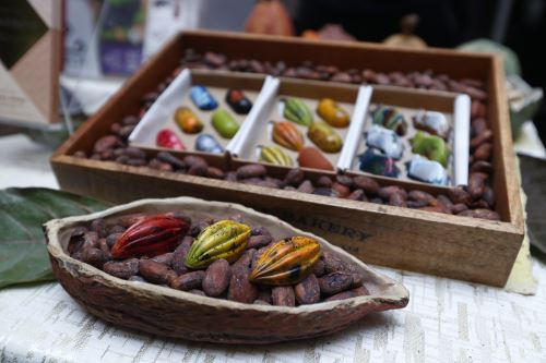 The International Cocoa and Chocolate Show expects to receive 25,000 visitors this year