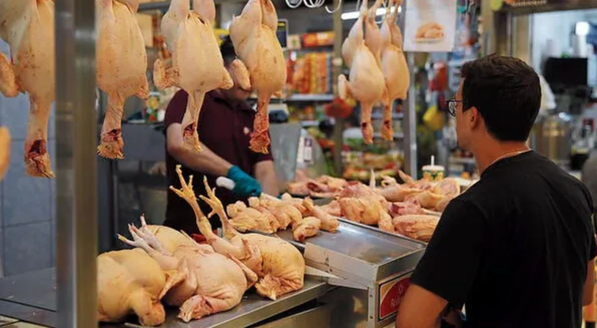 The price of chicken is falling little by little: a kilo is sold for S/9.23 in retail markets
