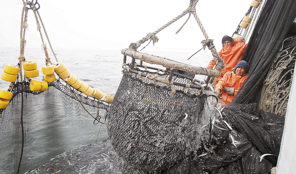INEI: fishing sector grew 158.40% during April
