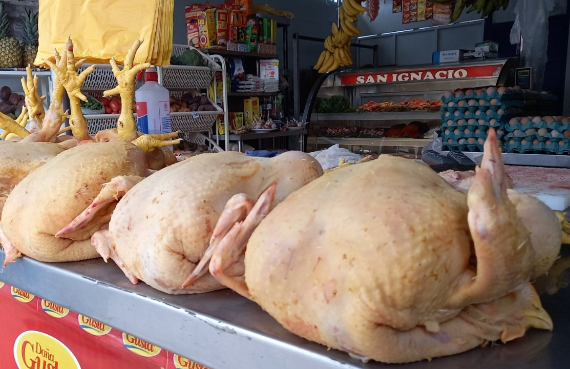Wholesale price of chicken continues to fall and reaches S/5 per kilo in Metropolitan Lima