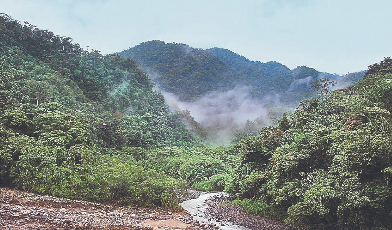 Challenges and investment opportunities in the Amazon will be discussed at CEA 2024