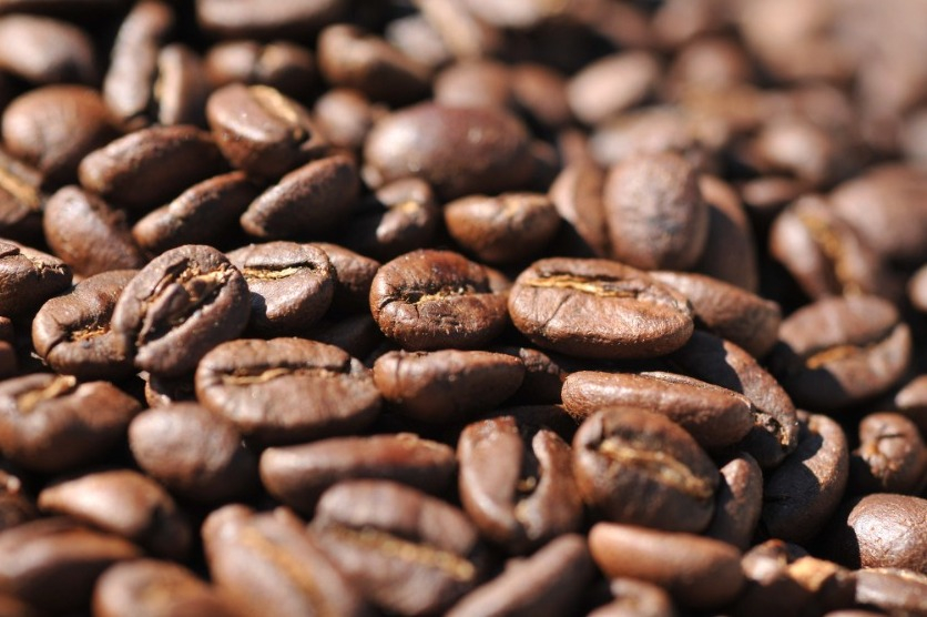 Historical peaks in global cocoa and coffee boosted Peru’s Amazon exports by 16%