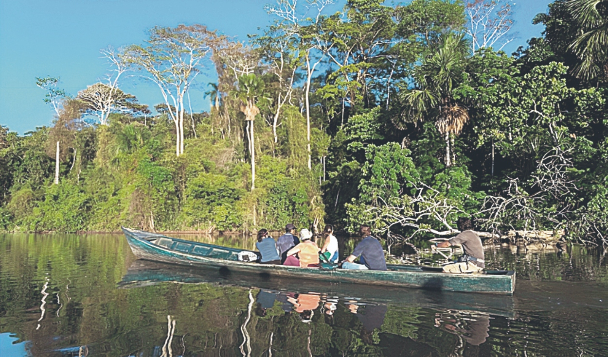 More than US$30,000 million could capture the Amazon