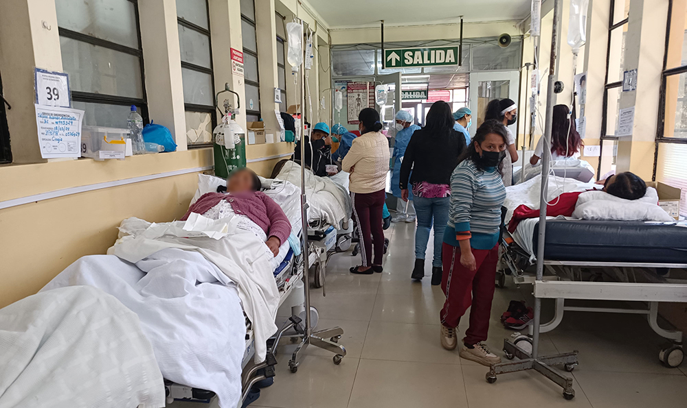 
                                 Ola de frío en Cusco: 3 niños y 90 adultos mayores han muerto a causa de la neumonía 
                            