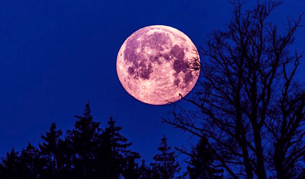 
                                 ¿Por qué la luna de fresa recibe ese nombre?: así podrás ver este fascinante evento astronómico 
                            