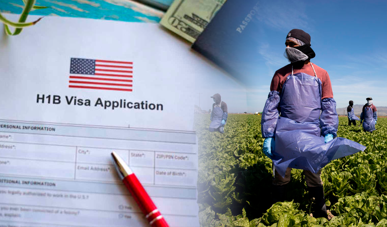
                                 ¡Atención con las visas de trabajo! USCIS señala ajustes para solicitarlas en Estados Unidos 
                            