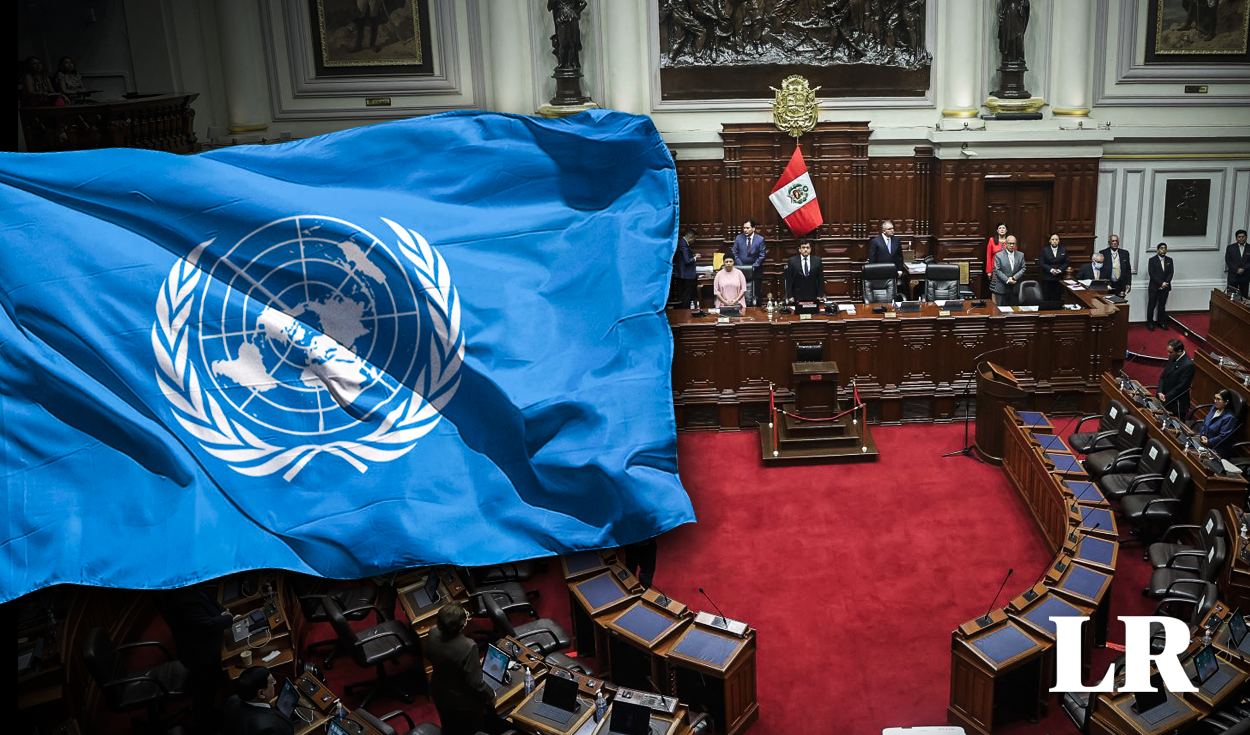 
                                 Relatores especiales de la ONU sobre ley contra las ONG: 