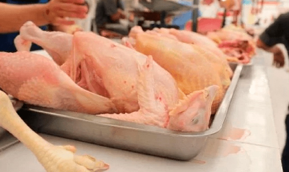 
                                 Por gripe aviar declaran cuarentena de 30 días en región: Senasa dispuso medida en puntos de venta de pollo 
                            