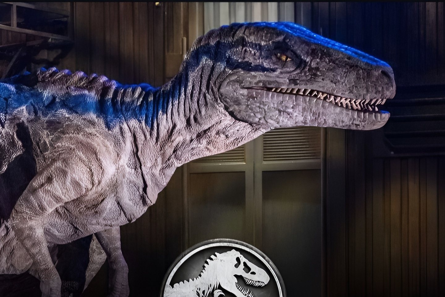 
                                 Exposición de Jurassic World llegará a CDMX: descubre cuándo, dónde y cómo comprar tu entrada 
                            