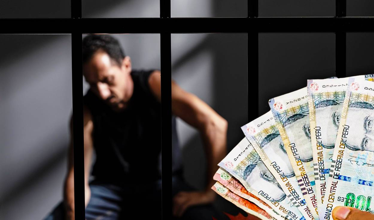 The only case in which you could go to jail for not paying a debt: this is what the law says