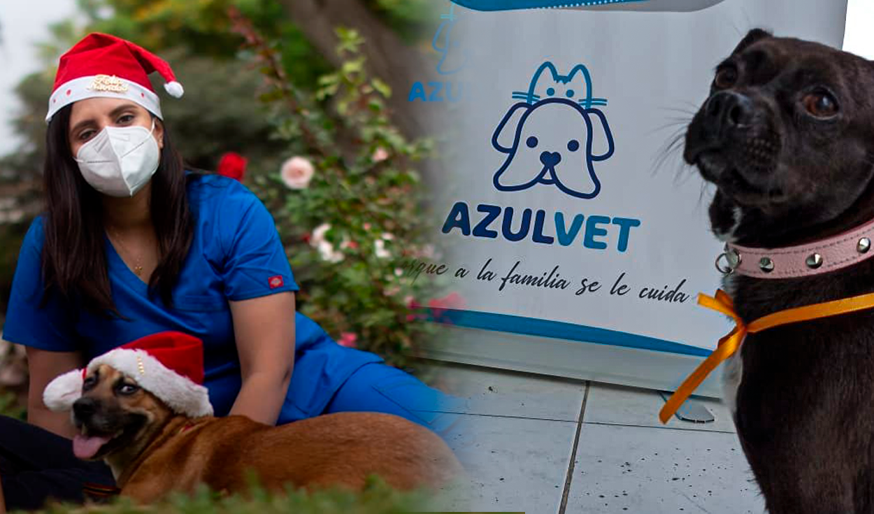 
                                 Fue despedida por estar embarazada y hoy es dueña de una de las veterinarias más grandes de Lima: la historia de Azulvet 
                            